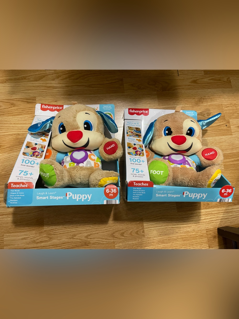 Fisher-Price Plush Learning Puppy Pair with Blue Ears and Tan Fur